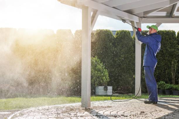 Best Pool Deck Cleaning in Mount Jackson, VA